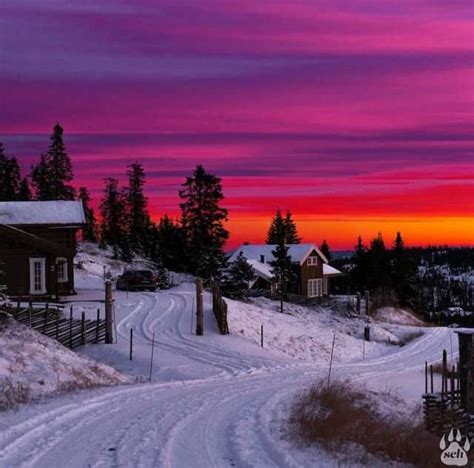 Sjusjøen Norway Winter Scenery Winter Scenes Winter Landscape