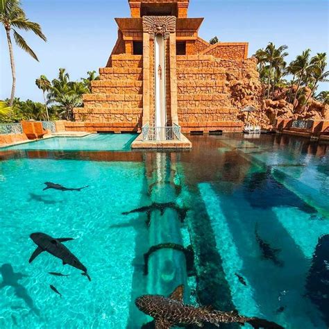 We did not find results for: Shark Tank Water Slide at Atlantis | Paradise island ...