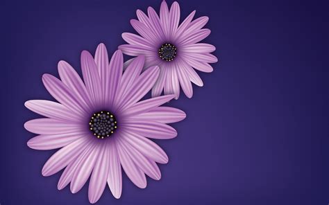 Flowers Purple Vector Digital Art Simple Background