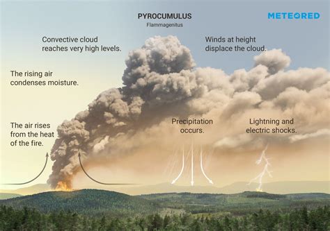 What Are Pyrocumulus Or Flammagenitus Clouds