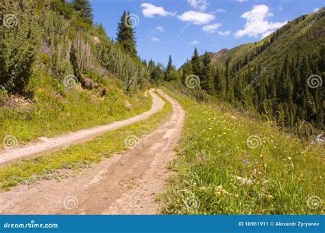 Dirt Road In Mountains Stock Image Image 10961911