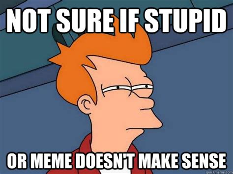 Not Sure If Stupid Or Meme Doesnt Make Sense Futurama Fry Quickmeme