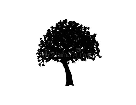 Young Oak Tree Silhouette Isolated On White Stock Vector Illustration