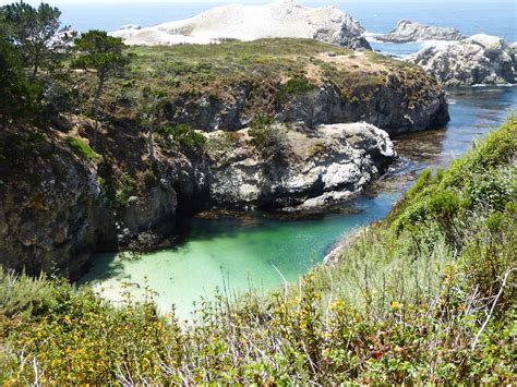 Point Lobos State Reserve A California Coastal Gem Its Not About