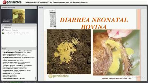 Videoclase Diarrea La Gran Amenaza Para Los Terneros Youtube