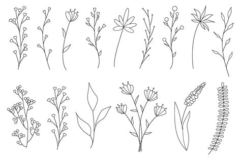 Collection Of Minimalistic Simple Floral Elements Graphic Sketch Fashionable Tattoo Design