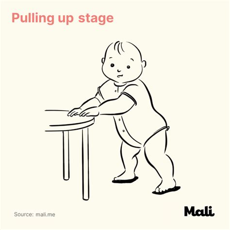 8 Stages Of Baby Walking Mali Pregnancy And Parenting