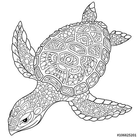 Zentangle Turtle Adult Antistress Coloring Page Coloriage Tortue