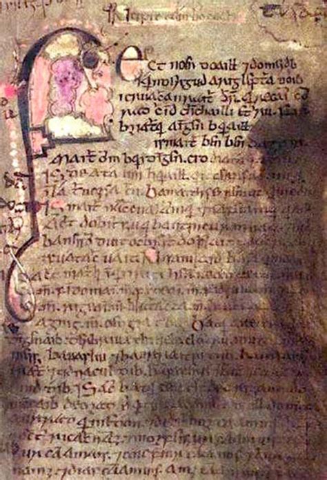 book of invasions the mytho historical text about those who came to conquer ireland ancient