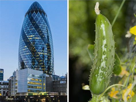 10 Incredible Architectural Masterpieces Inspired By Nature Alk3r