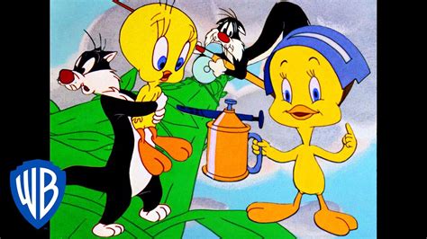 Looney Tunes Best Of Tweety Bird And Sylvester Classic
