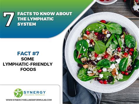 7 Facts To Know About The Lymphatic System Synergy Wellness Formulas