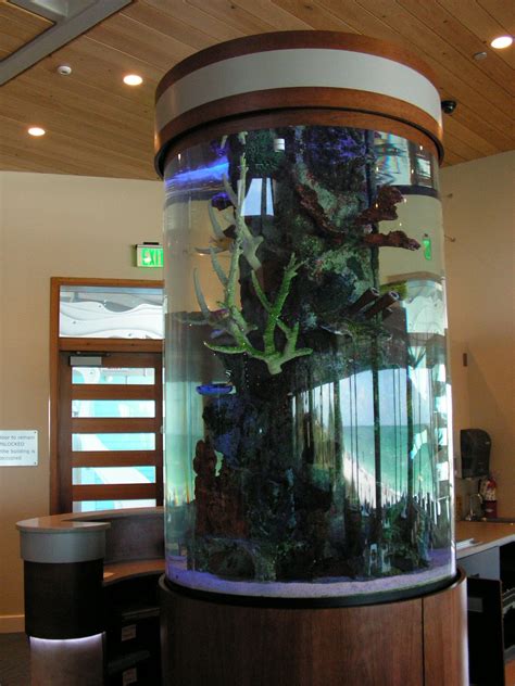 Sea Clear Aquarium Inc Commercial Aquariums Sarasota Fl
