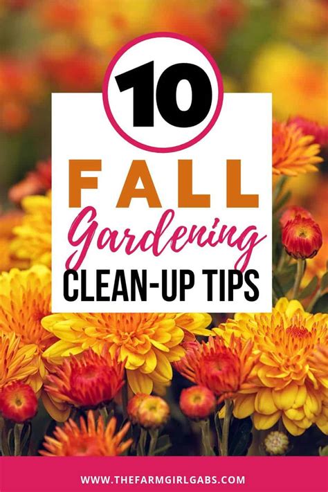 10 Fall Garden Clean Up Tips You Need To Do Now