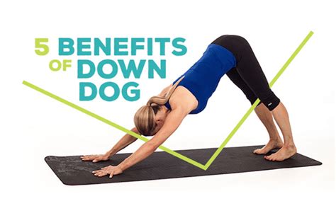 What Are The Benefits Of Downward Dog