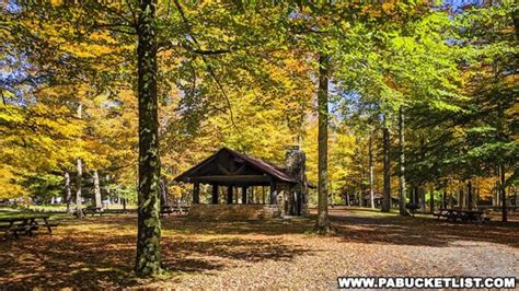 Exploring Ole Bull State Park In Potter County Pa Bucket List