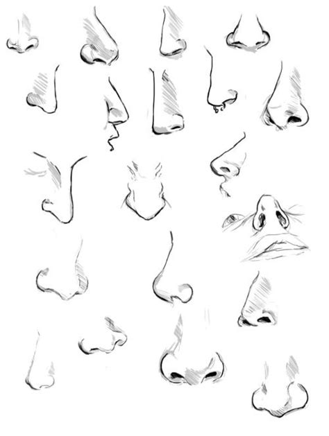Nose Drawing Art Tutorials Drawing Drawings