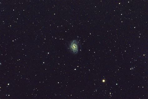 Ngc4535 Spiral Galaxy In Virgo Photograph By John Chumack Fine Art