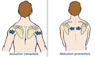 We did not find results for: Are Your Pecs Too Short and Strong? - Marty Kunsman - Medium