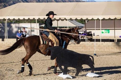 Working Equitation The