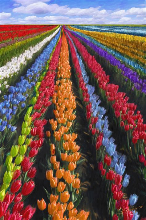 Campo De Tulipanes En Holanda Beautiful Landscapes Beautiful Gardens