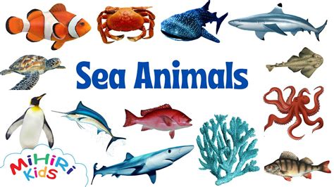 Sea Animals Names With Pictures Learning For Children Learn At Home