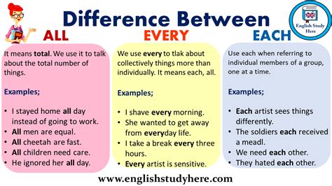 Difference Between All Every And Each English Study Here