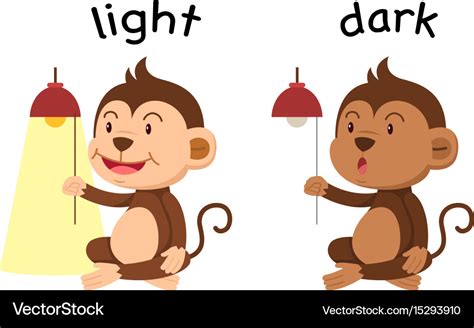 Opposite Words Light And Dark Royalty Free Vector Image