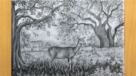 Two Deer Drawing In Pencil Draw And Shade A Forest