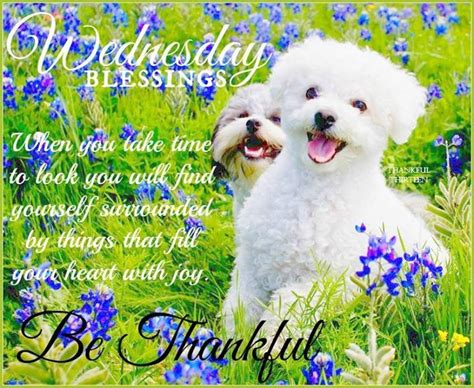 Wednesday Blessings Be Thankful Pictures, Photos, and Images for 