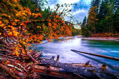 Snoqualmie River Washington River Forest Autumn