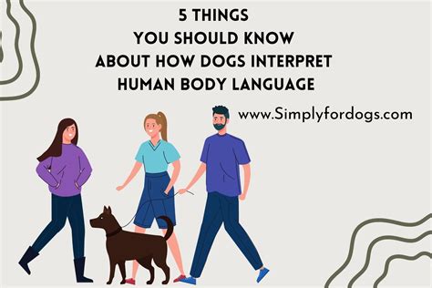 Dogs Interpret Meaning And Facts Simply For Dogs