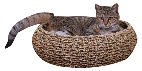 Best Seller Handwoven Wicker Rattan Seagrass Pet Bed Baskets For Dogs