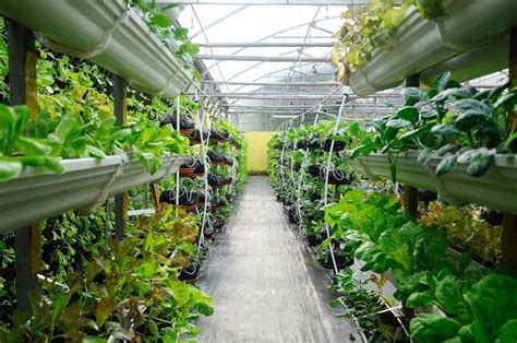 55 Best Vertical Garden Ideas Planters And Diy Kits Designing Idea