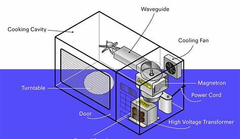 The Main Parts of a Microwave (with Diagram) - Homenish