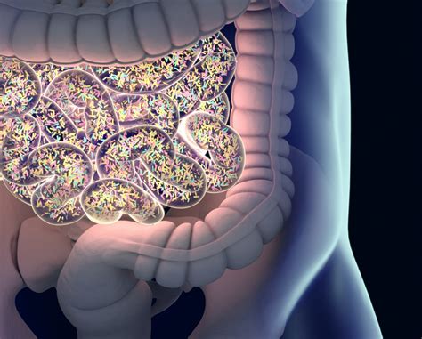 Gut Microbiome And Response To Treatment With Methotrexate In