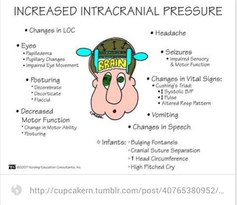 Intracranial Pressure Icp Flashcards Quizlet