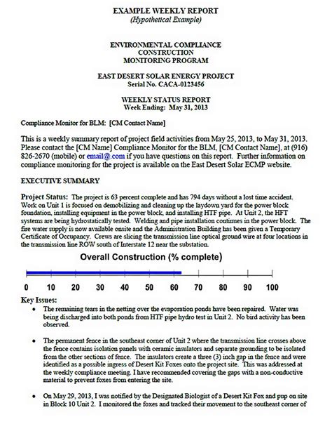 Weekly Activity Report Template Will Work Template Business