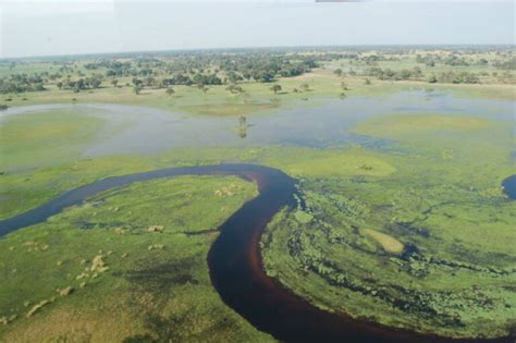 Scientists Traced The Ancestral Homeland Of Mankind To Botswana