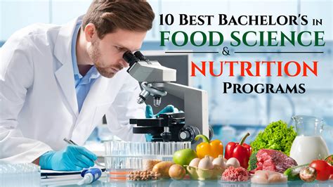 The Best Bachelors In Food Science And Nutrition Programs Successful