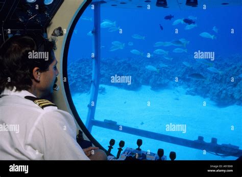 Underwater Views From The Submarine Atlantis Tours In Hawaii Stock Photo Alamy