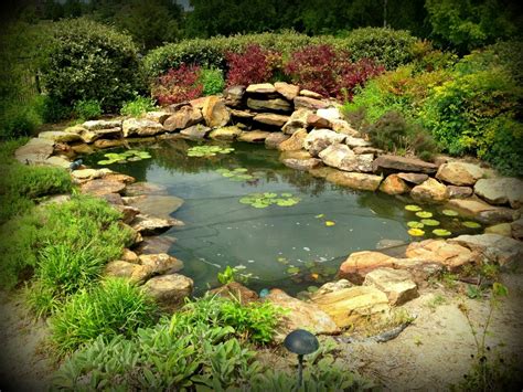 Koi Ponds Gallery Sublime Water Gardens