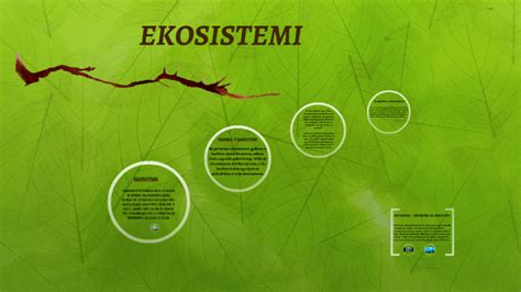 Ekosistemi By Valmir Osmani On Prezi