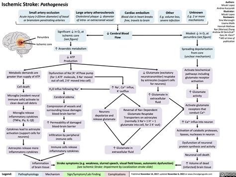 Ischemic Stroke Pathogenesis Calgary Guide