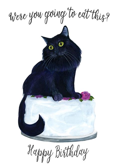Funny Cat Birthday Card Funny Birthday Card Funny Animal Etsy