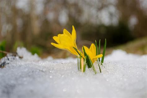 Australia is a country of two climates. 10 Things About the March Equinox