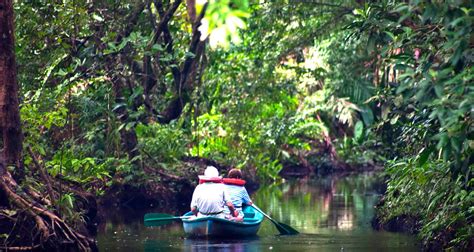 Tortuguero A Natural Paradise In Costa Rica By Green World Adventures