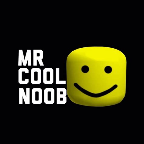 Mr Cool Noob Youtube
