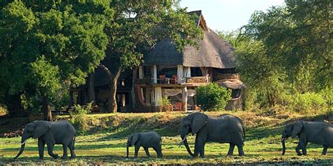 the 5 best luxury safari lodges in south africa artofit vrogue