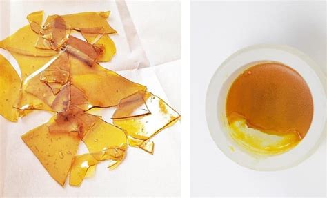 Cannabis Concentrates Guide Thc Oils Hash Wax Shatter And Dabs